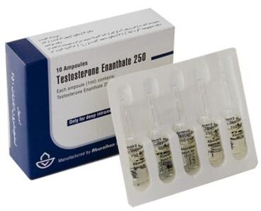 Hormonal Stimulant Potential in Men