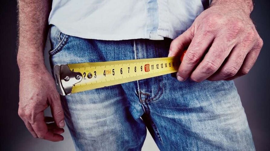 13 cm is the average size of a man's penis when erect